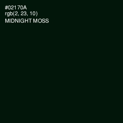#02170A - Midnight Moss Color Image